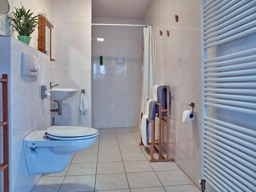 登博斯Studio # Het Pauwennest的浴室设有蓝色的卫生间和水槽。