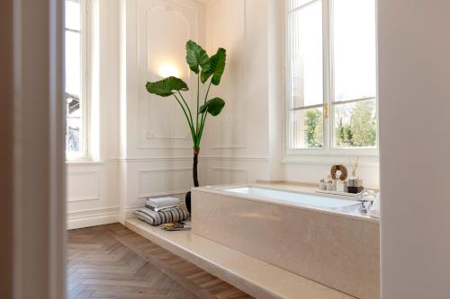 佛罗伦萨Dimora Palanca的浴室设有大浴缸,内有植物
