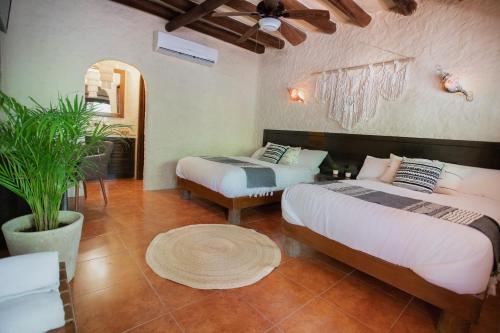 奥尔沃克斯岛Hotel Macondito Holbox的一间卧室设有两张床和盆栽植物