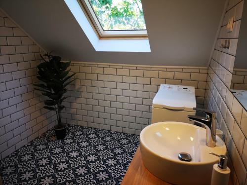 巴拉顿菲赖德No.44的一间带水槽和盆栽植物的浴室