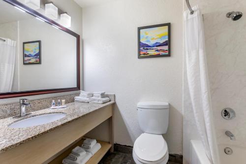米拉马尔Comfort Inn San Diego Miramar的一间带水槽、卫生间和镜子的浴室