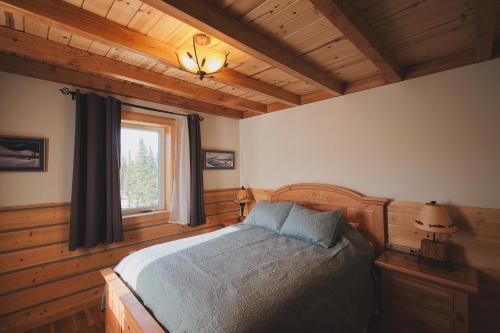 希利Denali Wild Stay - Bear Cabin with Hot Tub and Free Wifi, Private, sleep 6的一间带床的卧室,位于带窗户的房间内