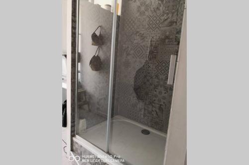 耶尔Appartement avec Jardin privatif centre ville的浴室里设有玻璃门淋浴