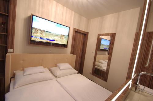 塞克希费黑瓦尔Hotel Vadászkürt Superior的一间卧室配有两张床和一台平面电视