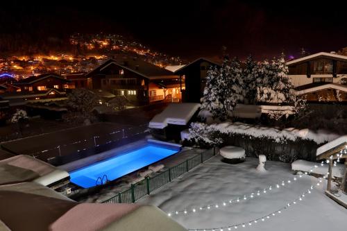 莫尔济讷雪之花酒店的游泳池在晚上被雪覆盖
