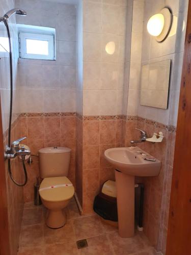 蒙塔纳Семеен Хотел Българи的一间带卫生间和水槽的浴室
