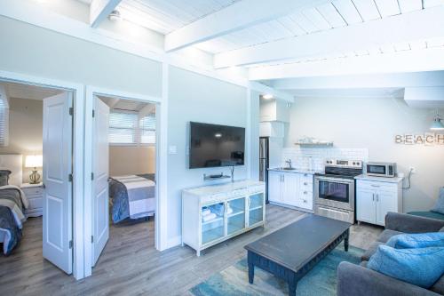 蓝山2BR Boutique Suite #8的带沙发和电视的客厅以及厨房。