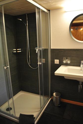 Hof Surri的带淋浴和盥洗盆的浴室