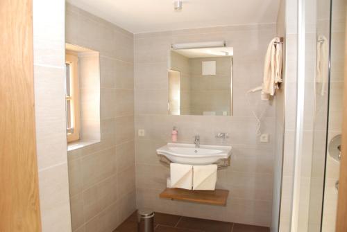莱奥冈呃布霍夫安德乐霍夫酒店的一间带水槽和镜子的浴室