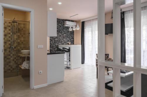 沙巴茨Apartmani MiS的一个带水槽和淋浴的厨房