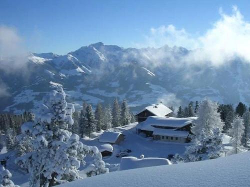 格洛博明Steinerhaus Berggasthof的雪覆盖的树下,雪 ⁇ 的山间小屋