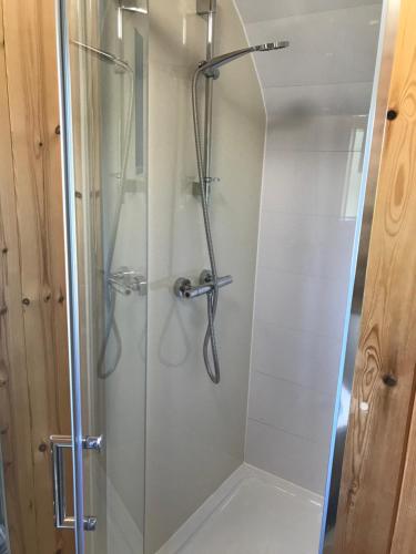 马汉莱斯Cil y Coed Luxury Pod的浴室里设有玻璃门淋浴