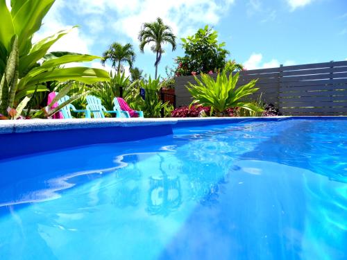 拉罗汤加Muri Beach Studio with Pool的一个带椅子的蓝色游泳池,棕榈树