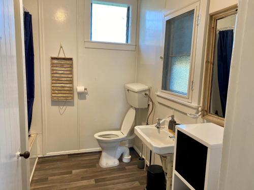 WairoaThe Cottage @ Aranui的一间带卫生间、水槽和窗户的浴室