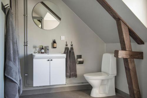 StångaGumbalde Resort的一间带卫生间和镜子的浴室