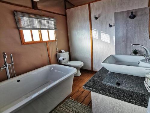 KlipdriftJabula Bush Camp的带浴缸、卫生间和盥洗盆的浴室