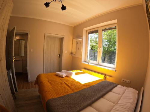 斯武普察Noclegi na Wspólnej的一间卧室设有一张床和一个窗口