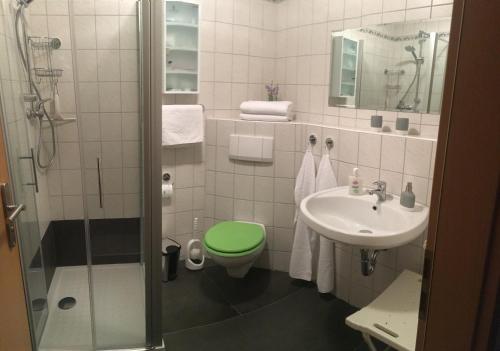洛门Am Tor zur Sächsischen Schweiz的浴室配有绿色卫生间和水槽。