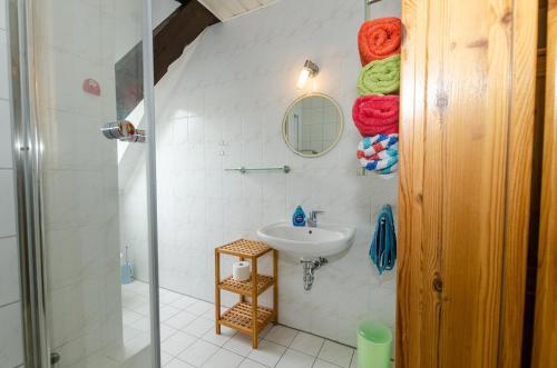 沙普罗德Ferienwohnung-auf-Ruegen-fuer-3-Erwachsene-und-1-Kind的浴室配有盥洗盆、淋浴和毛巾