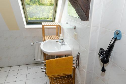 沙普罗德3-R-Ferienwohnung-fuer-4-Personen的一间带水槽和窗户的小浴室