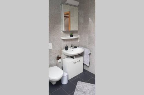 肯普滕Kempten - Lebendig und voller Geschichte的浴室配有白色卫生间和盥洗盆。