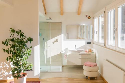 泰尔拉诺Villa Sonnenschein的带淋浴和盥洗盆的浴室