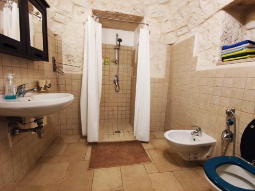 马丁纳弗兰卡Trullo Cicerone的一间带水槽、淋浴和卫生间的浴室