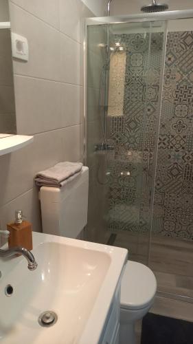 格罗日年App Parenzana的带淋浴、卫生间和盥洗盆的浴室