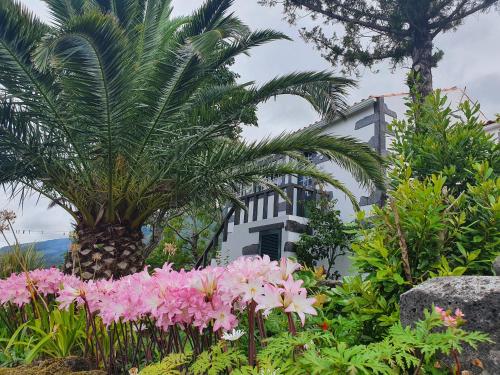 Santo AmaroCasa do Gato Preto的一座花园,在房子前方种有粉红色的花朵