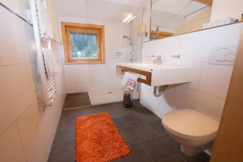 Haus Sonja Damüls的一间浴室