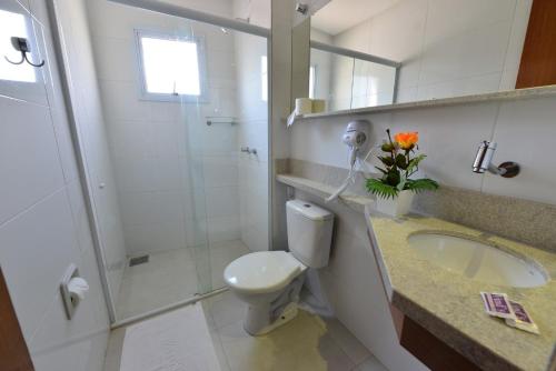 伊帕廷加Vinds Economic Hotel的带淋浴、卫生间和盥洗盆的浴室