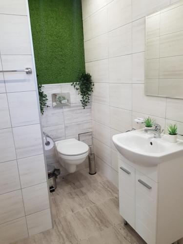 Polski TrŭmbeshParadise Park的浴室配有卫生间、水槽和绿色墙壁。