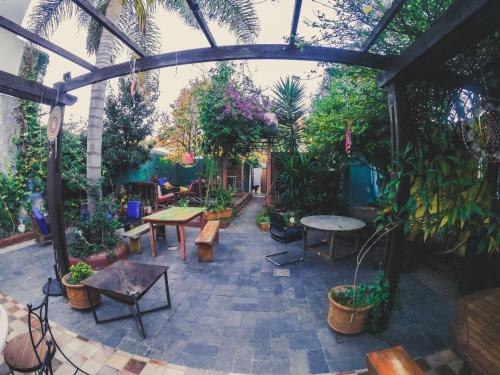 蒙得维的亚Charruas hostel的庭院里种满了植物,设有桌子和长凳