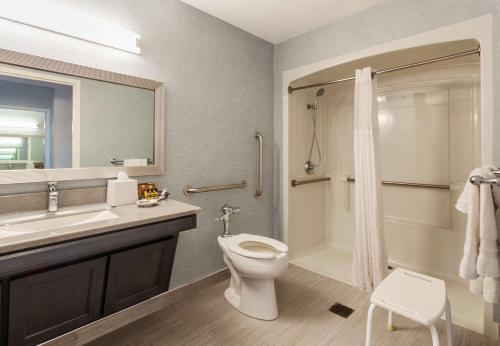 纽瓦克Robert Treat Hotel的浴室配有卫生间、盥洗盆和淋浴。