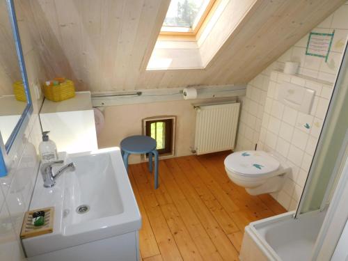 布尔格-罗伊兰德Holiday Home Weisten 5的一间带水槽、卫生间和天窗的浴室