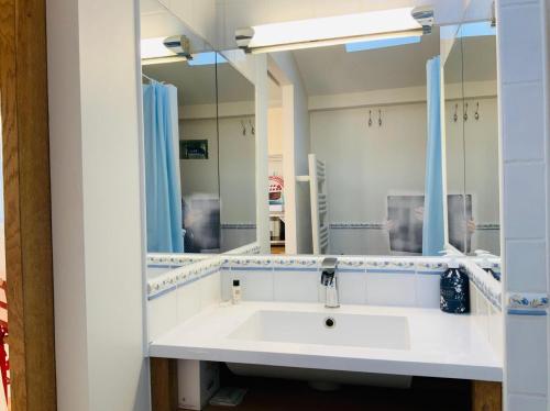 Beauzelle克塔基布拉格纳科公寓的一间带水槽和镜子的浴室