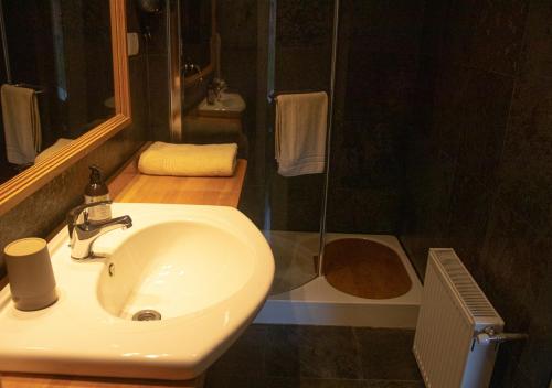 科伊艾科El Reloj Hotel的一间带水槽和淋浴的浴室
