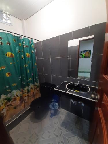 莱蒂西亚Hostal Selvatrip的一间带水槽、卫生间和淋浴的浴室