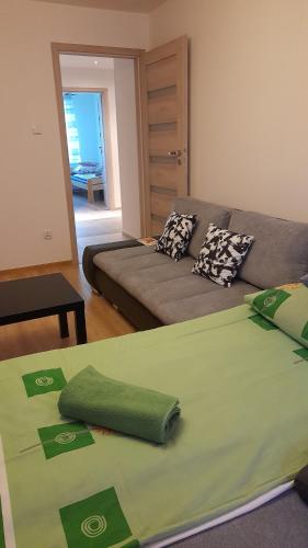 扎科帕内Wiesia2的客厅配有沙发和绿床。
