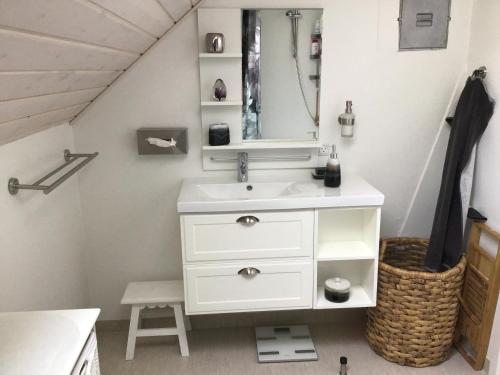 VadumVejlen Bed & Kitchen的一间带水槽和镜子的浴室