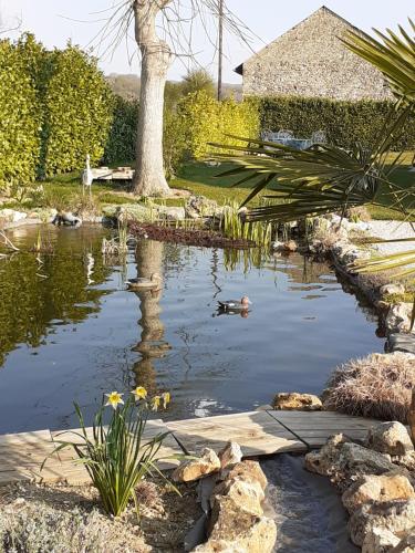 LA BONNE ADRESSE的花园中的池塘,里面藏着鸭子