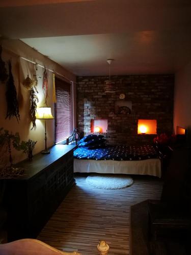 比尔扎伊Pas Ligita的一间卧室设有一张床和砖墙