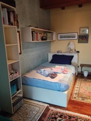 维罗纳自由镇Lovely Casa Paola的一间卧室配有一张带书架的床