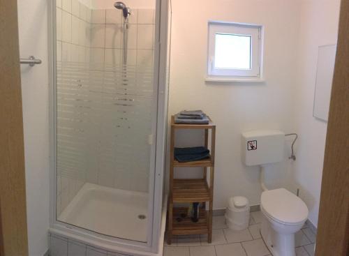 霍恩斯泰因Ferienwohnung Magdalena的带淋浴和卫生间的浴室