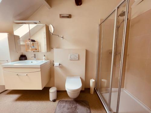通厄伦Gallo Appartement & Duplex Tongeren centrum的浴室配有卫生间、盥洗盆和淋浴。