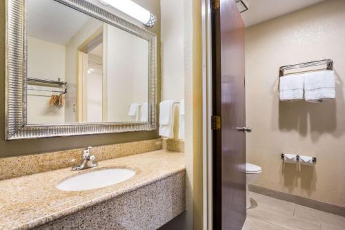 Quality Inn & Suites Florence - Cincinnati South的一间浴室