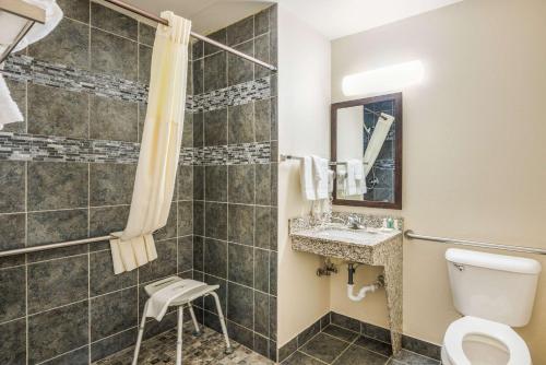 Eldridge埃尔德里奇北达文波特品质酒店的一间带卫生间和淋浴的浴室