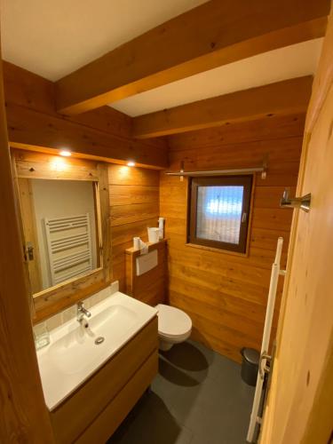莱索尔LE PASSE-MONTAGNE Bel appartement avec terrasse dans vieille ferme de montagne rénovée的浴室配有白色水槽和卫生间。