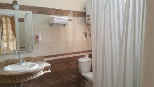 亚历山大Misr Hotel的一间带水槽、卫生间和镜子的浴室
