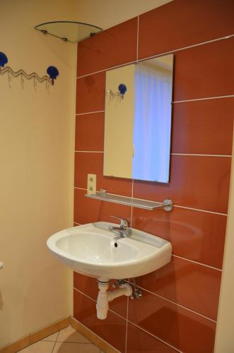 拉罗什-阿登L’Abri的一间带水槽和镜子的浴室